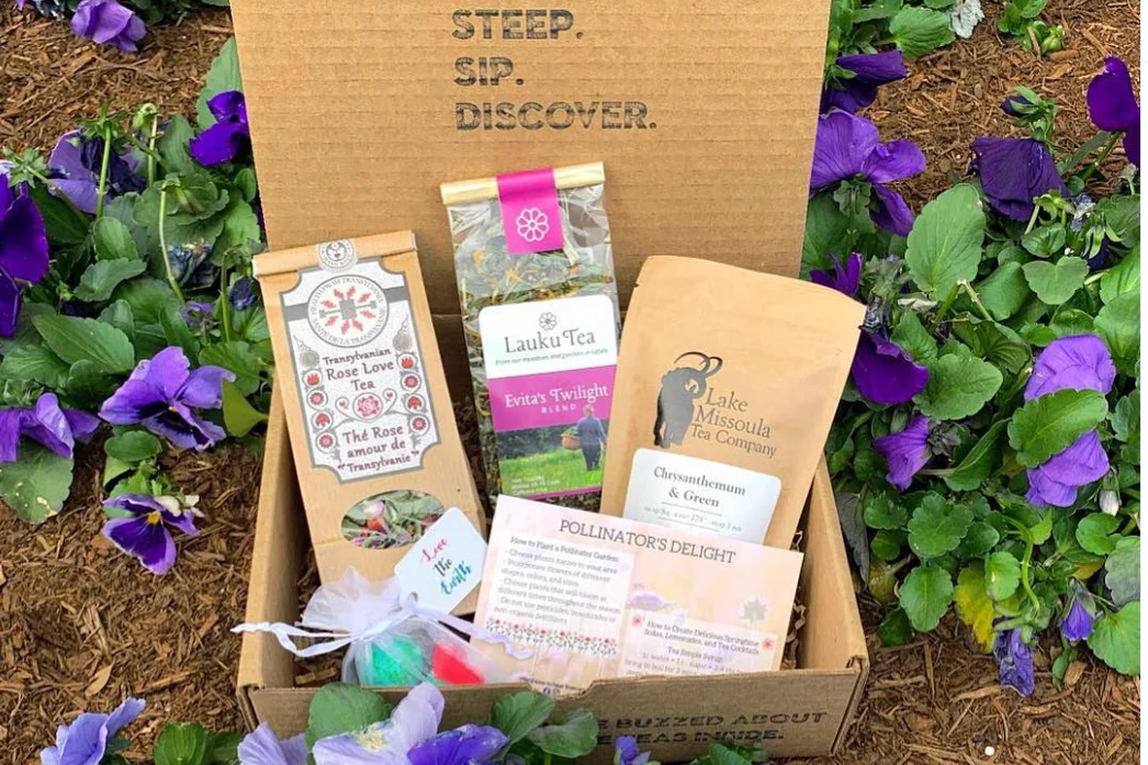 3-month Tea Hive Set - Image 8