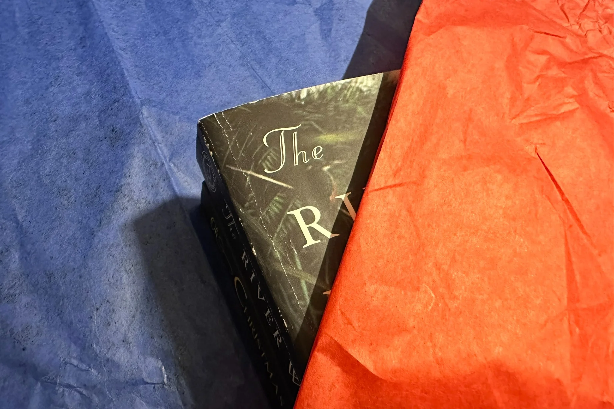 Book Box Bliss - Uncover a New ⭐⭐⭐⭐ Adventure Every Month - Image 11