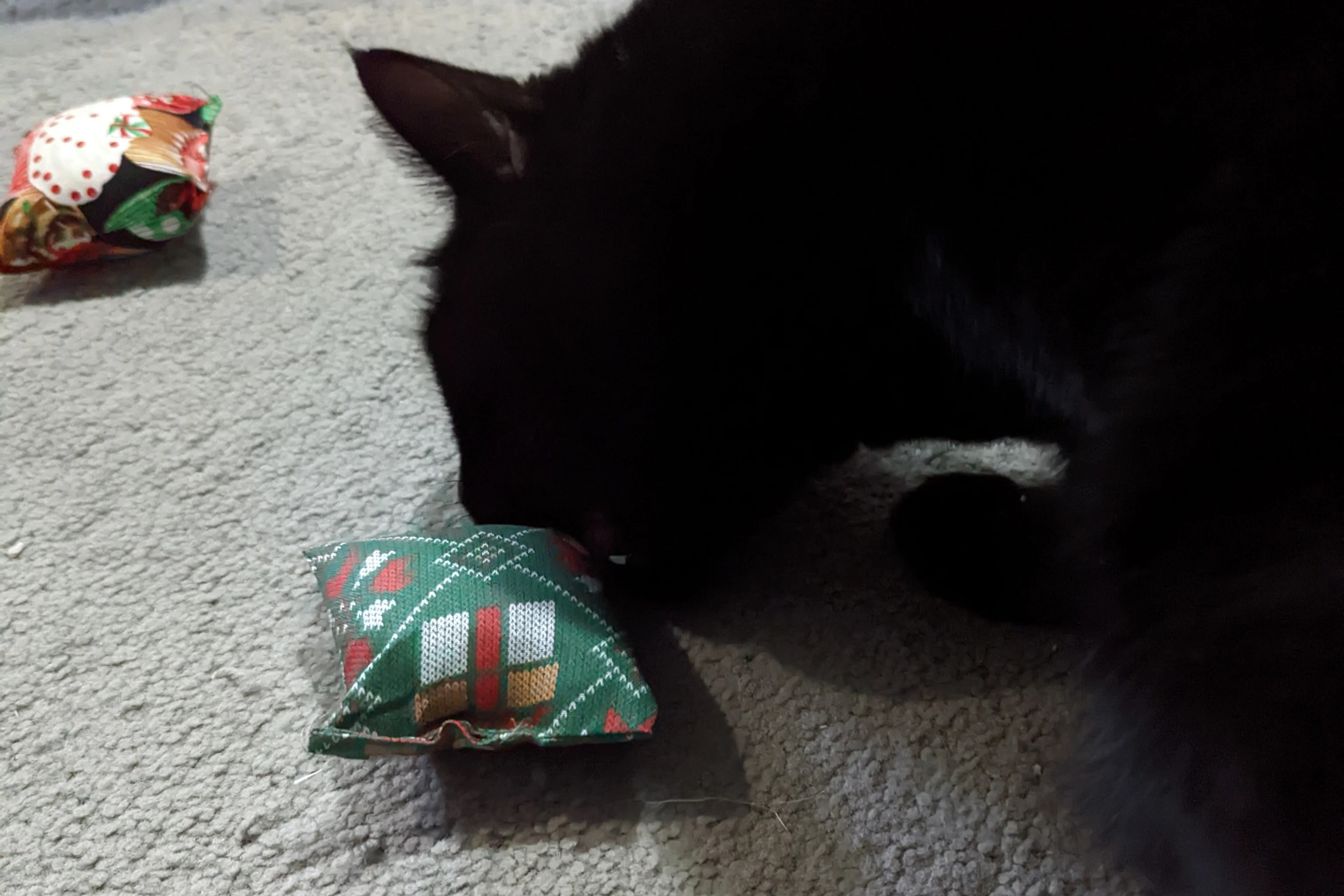 4 Catnip Cat Pillows Delivered to Your Door Every Month - Image 9