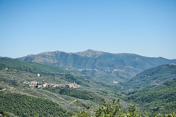 Aceto d'Olio - Image 5