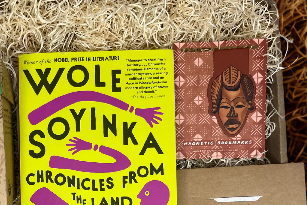 African Book Box - Image 3