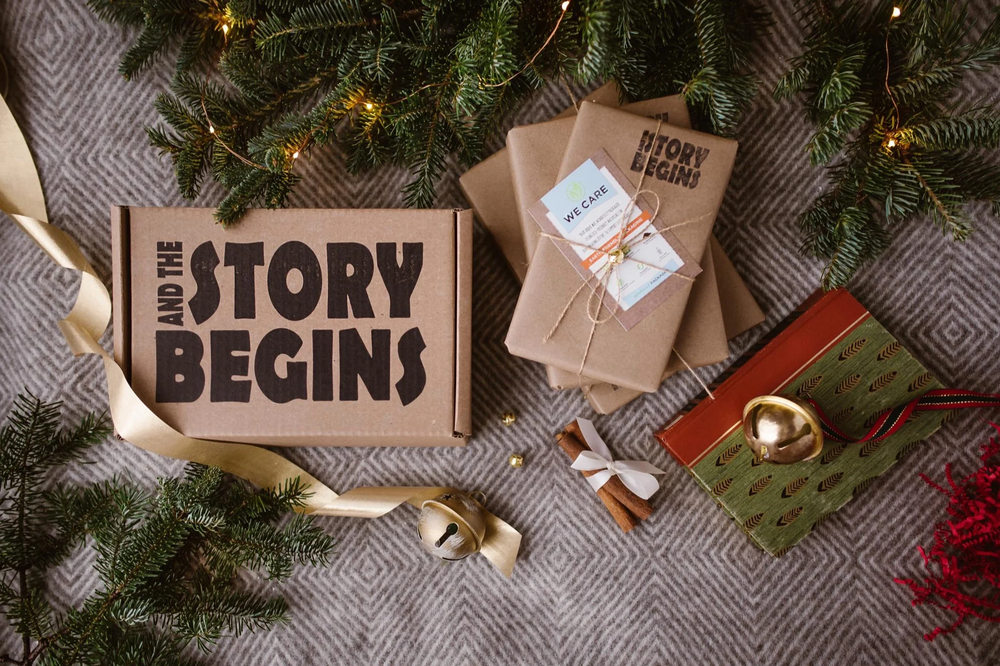 and the Story Begins - Image 4