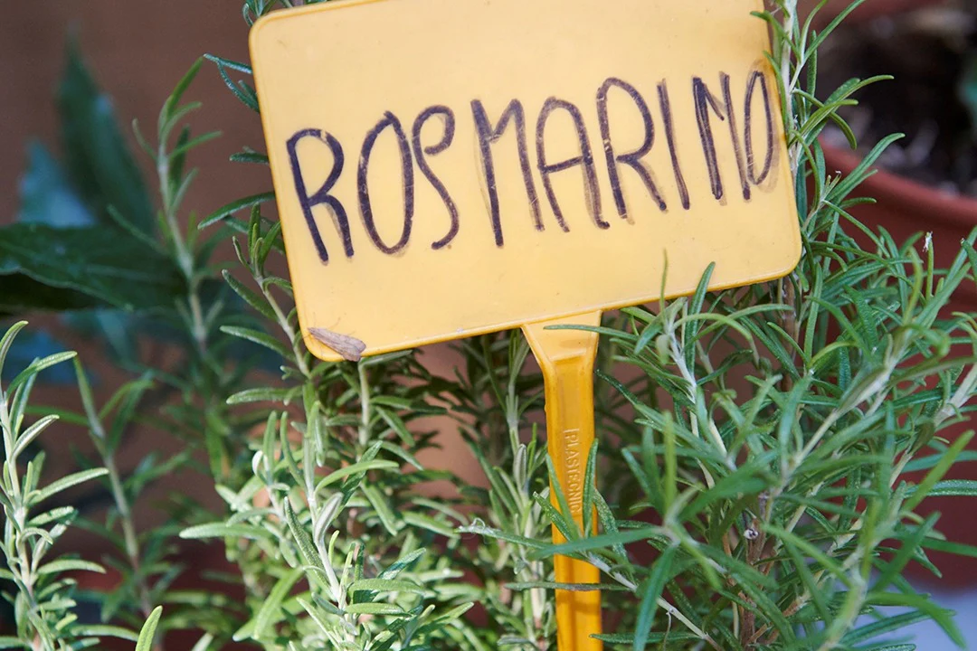 Arrosto Lento - Image 3
