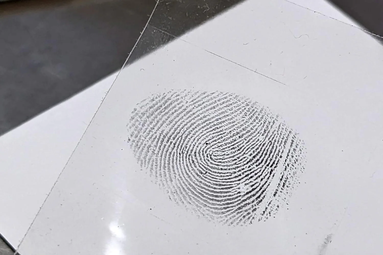 Basic Fingerprinting Kit: Bichromatic Powder