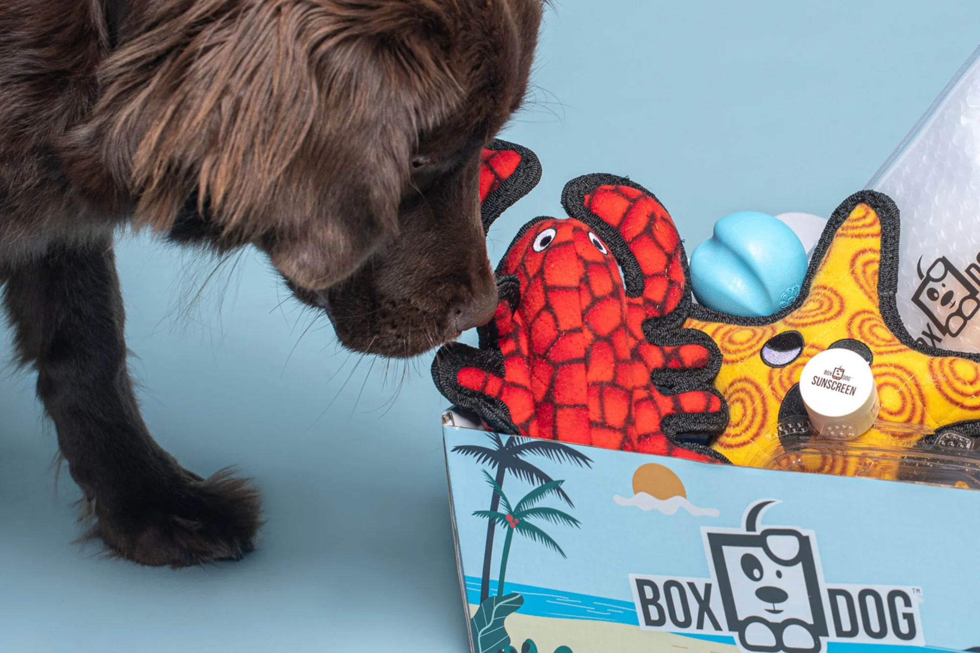 BoxCat Giant Seasonal Cat Subscription Box - Image 5