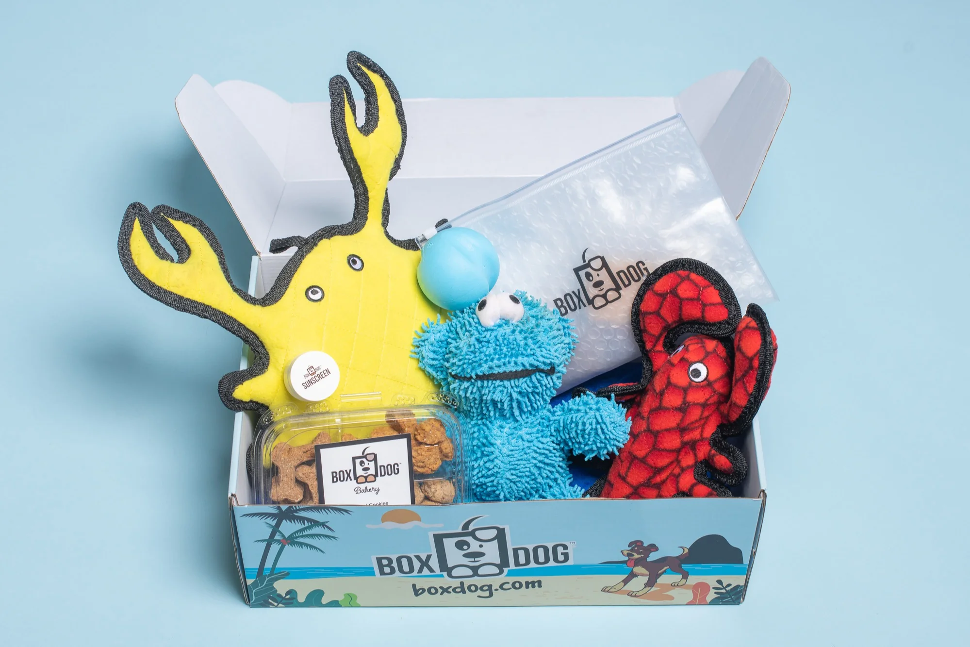 BoxCat Giant Seasonal Cat Subscription Box - Image 6