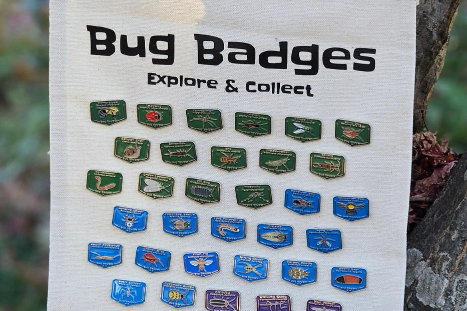 Bug Badges Monthly Challenge - Find Bugs & Earn Enamel Pins - Image 14
