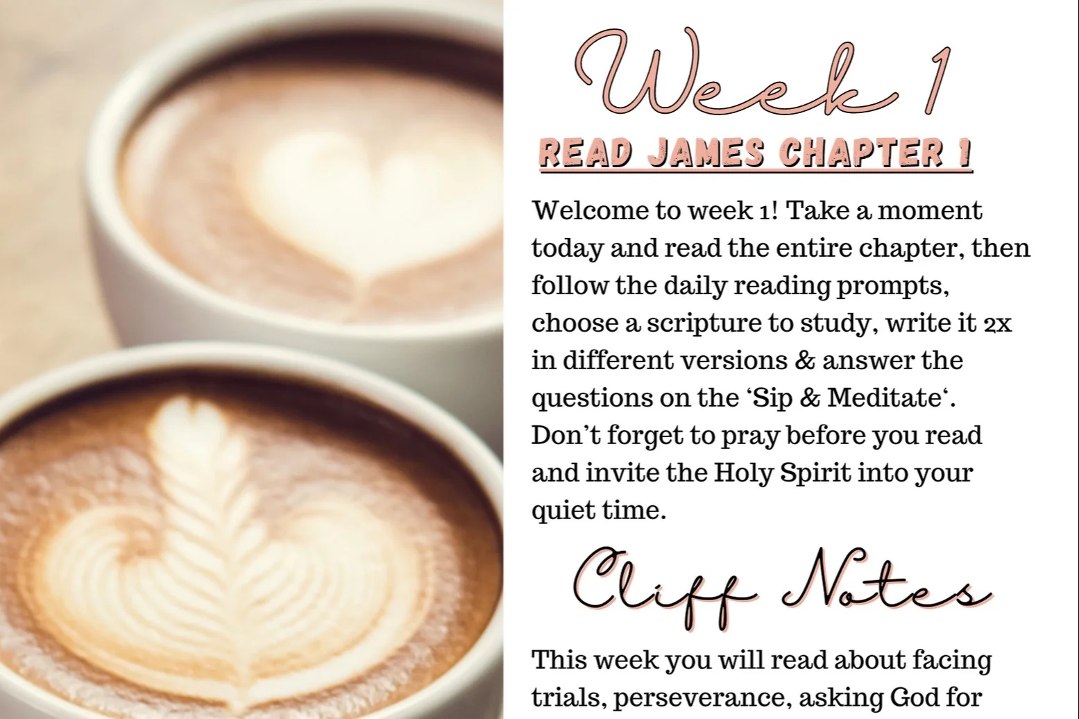 Flourish Bible Study Club - Image 9