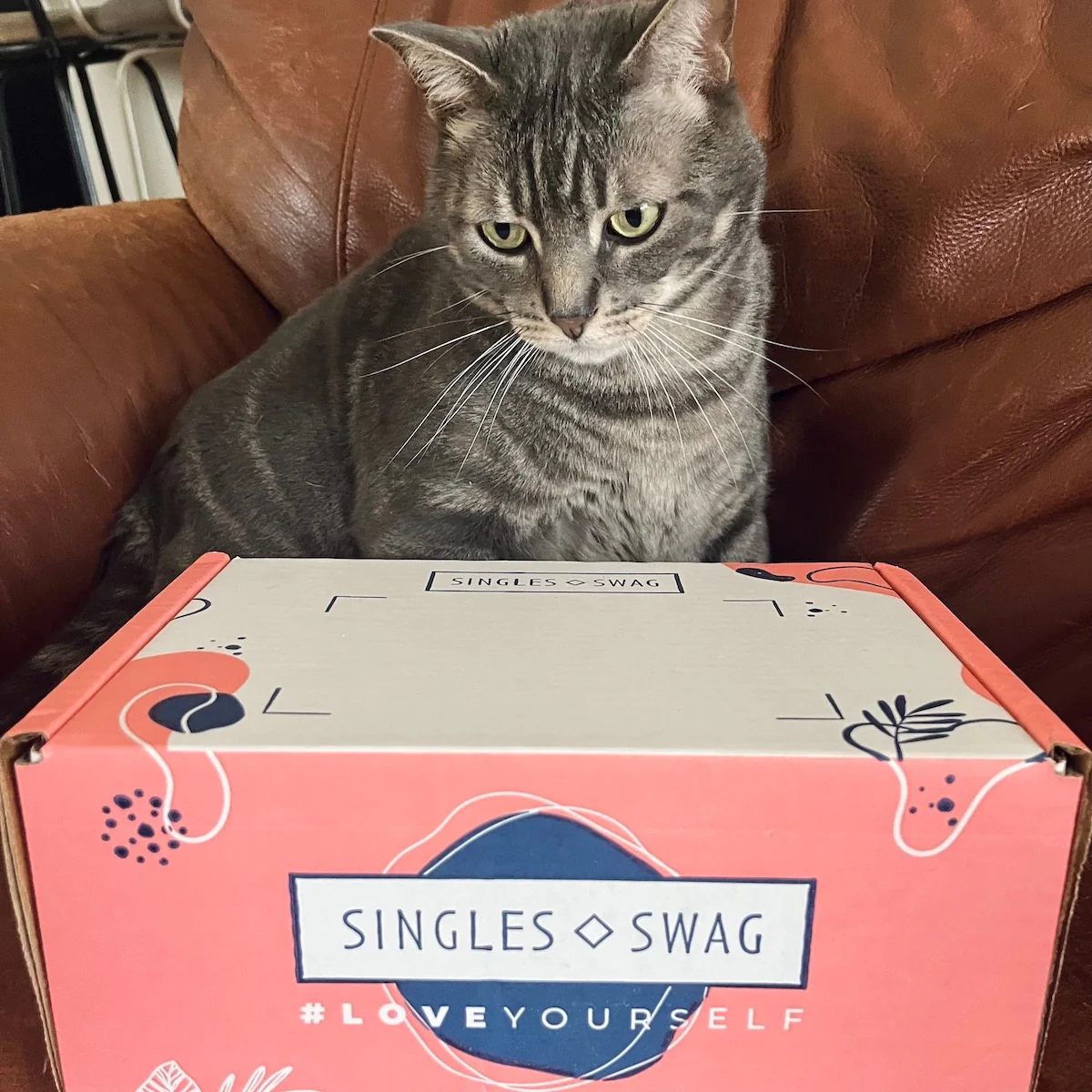 𝐂𝐚𝐭 𝐌𝐨𝐦 𝐌𝐲𝐬𝐭𝐞𝐫𝐲 𝐁𝐨𝐱 (10+ items for cats & their amazing moms!) - Image 2