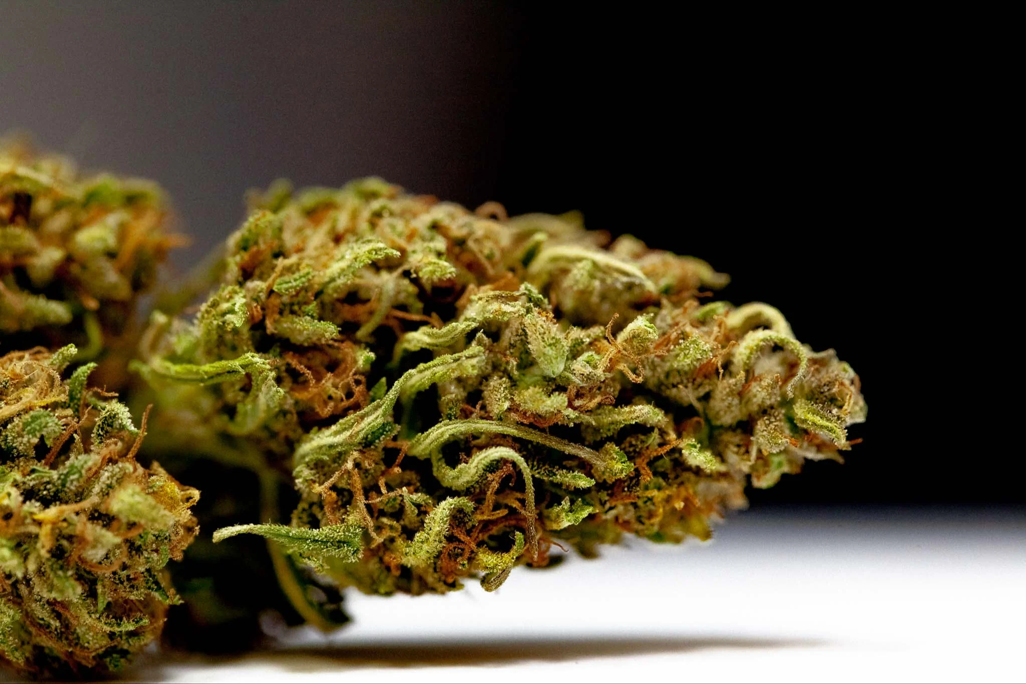 CBD Flower Club Monthly - Image 5