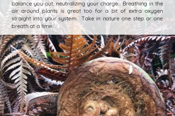 NEW Chakra Journal eBook Series-- Balancing the Rainbow Within - Image 4