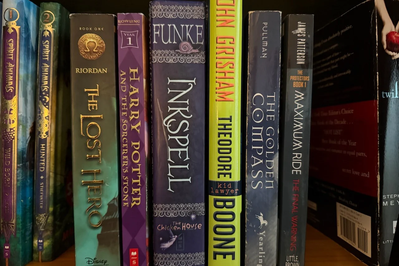 Advanced Chapter Books - Image 8