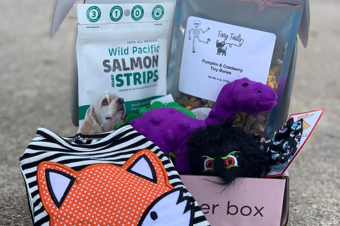 Deluxe Wag Swag Box - Image 18