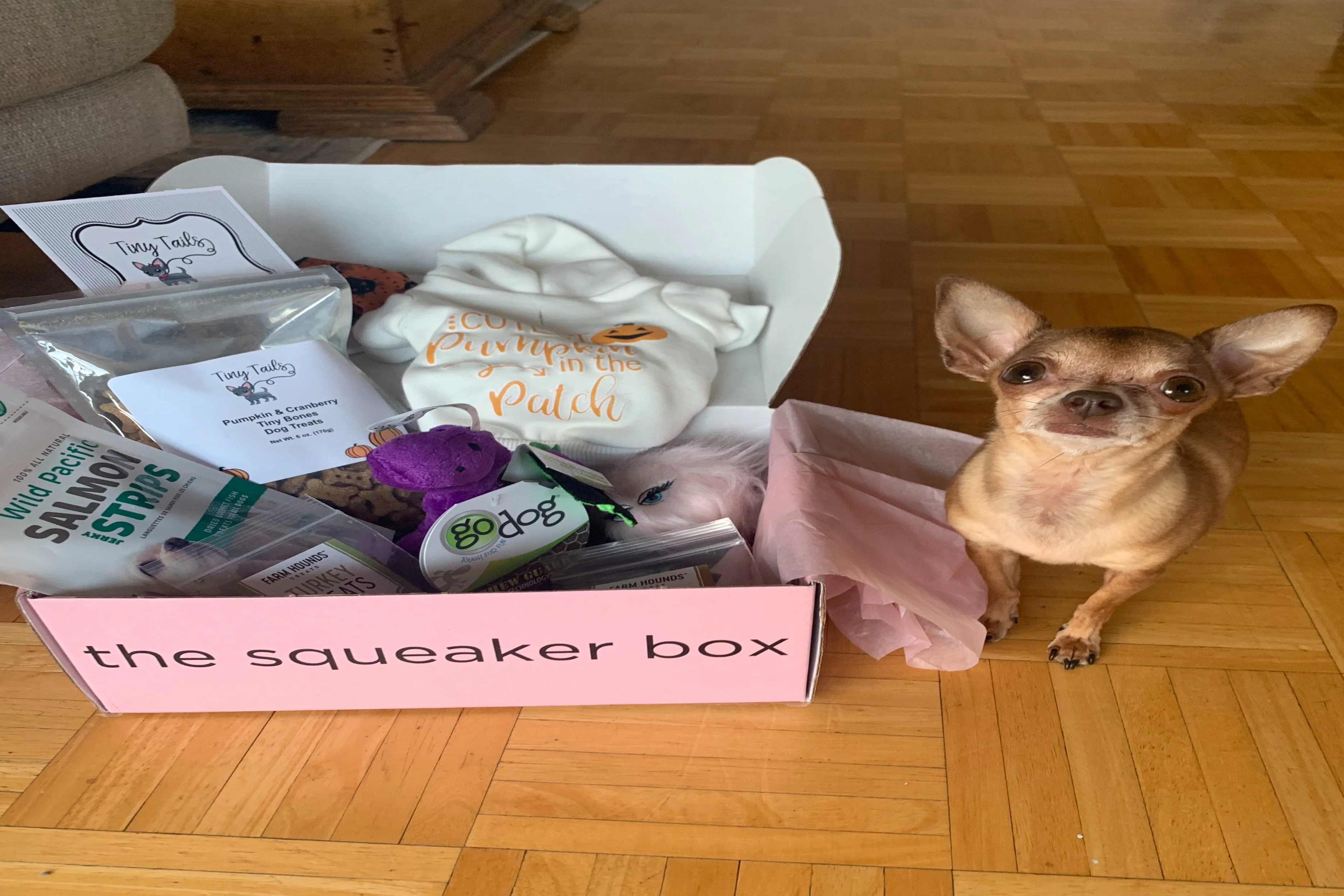 Deluxe Wag Swag Box - Image 19
