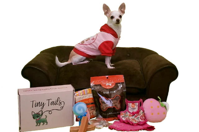 Deluxe Wag Swag Box - Image 8