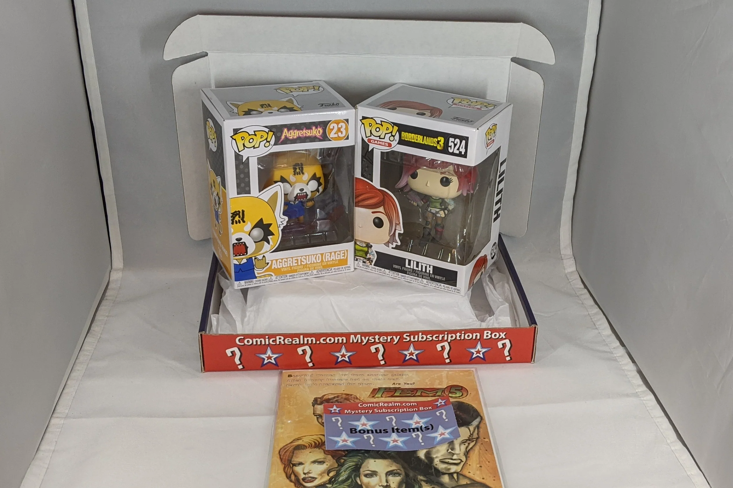 Mystery 2 Funko Pops Subscription Box !! - Image 11