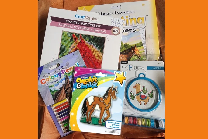 Kids Level 3 - Counted Cross Stitch & Punch Needle - Sewing & Craft Subscription Box (Recommended Age 10+). - Image 4