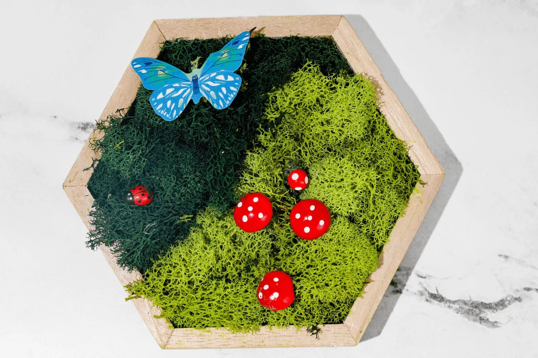 CraftShare Monthly Kits - Image 4