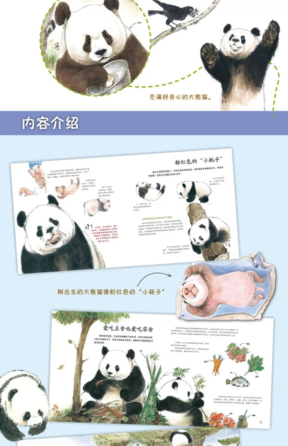 大熊猫“熊生”揭密《哇！大熊猫》 - Image 2