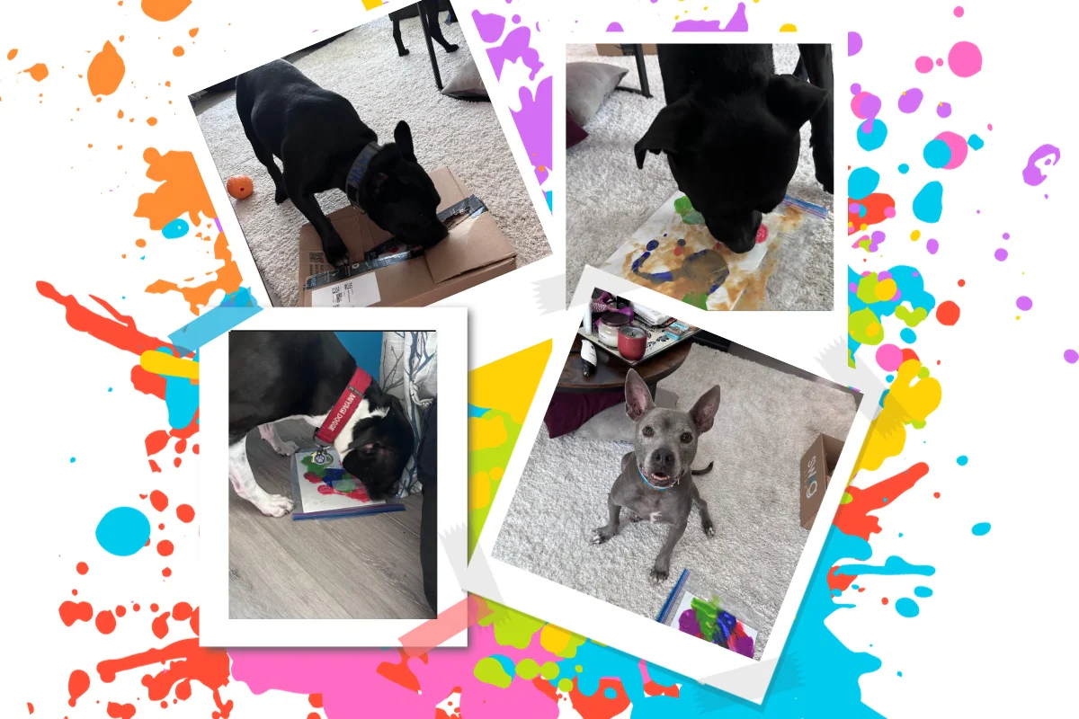 Canine Enrichment Box - Image 3
