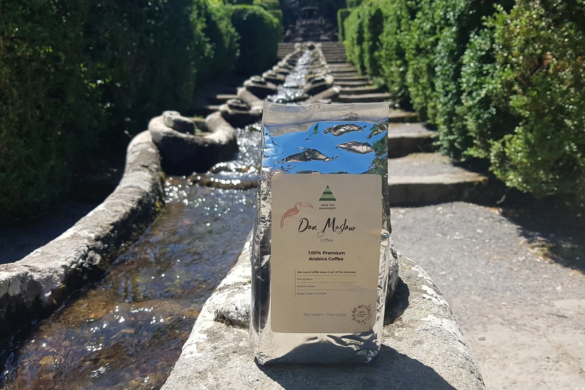The Toucan: 100% Premium Arabica Coffee - Image 4