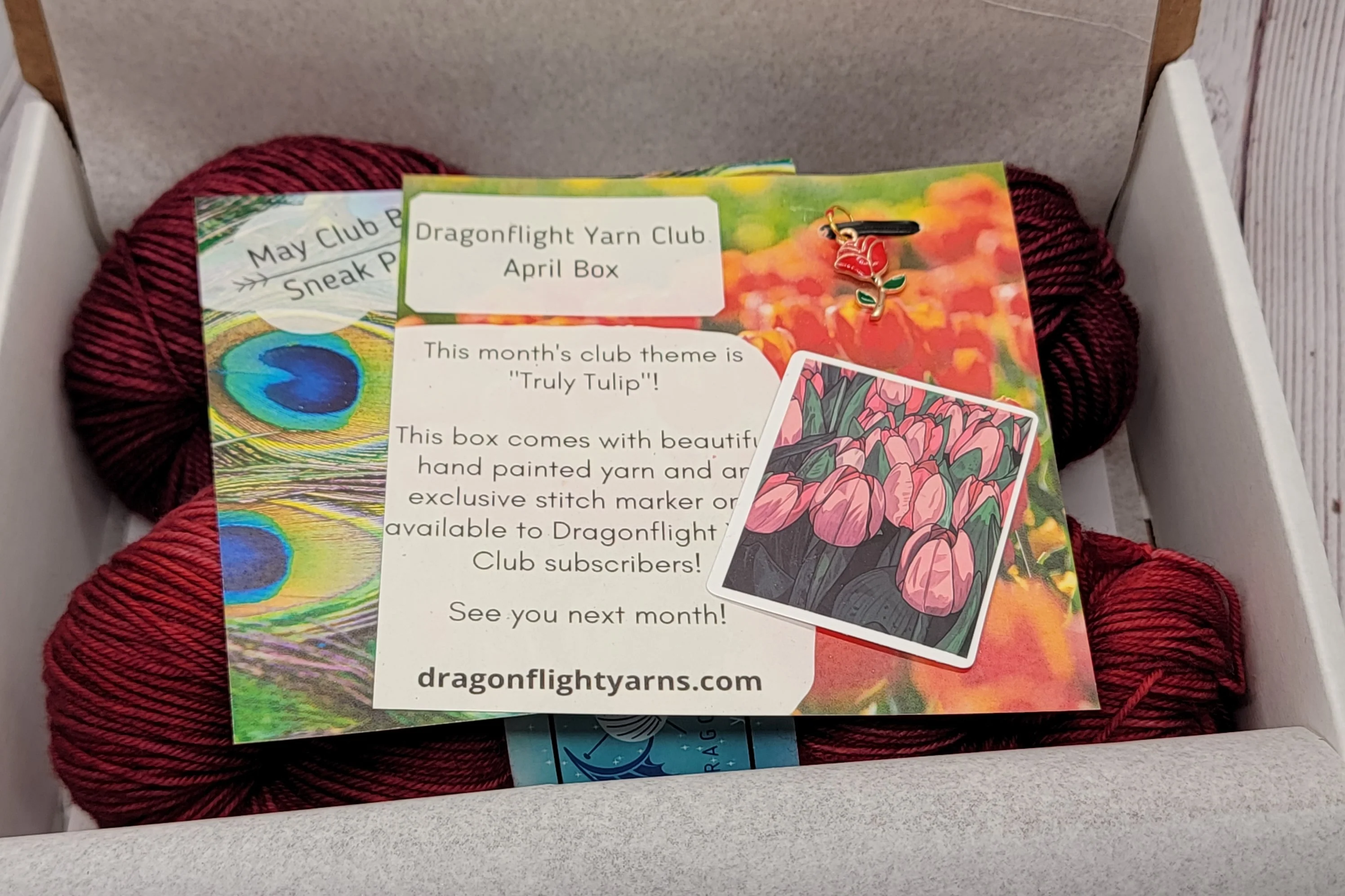 Dragonflight Yarn Club - Image 5