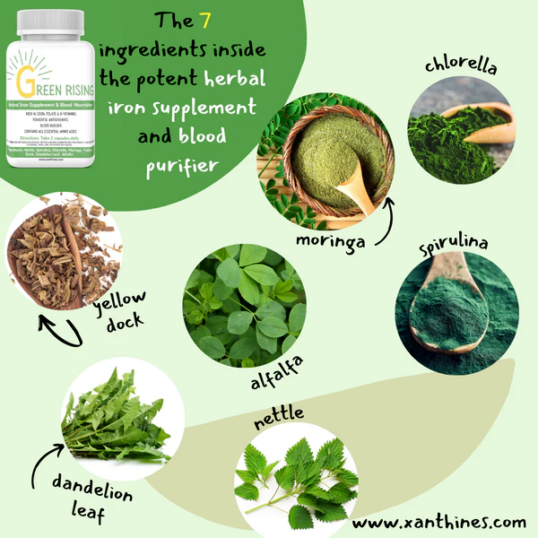 Green Rising Herbal Iron Supplement & Blood Purifier - Image 2