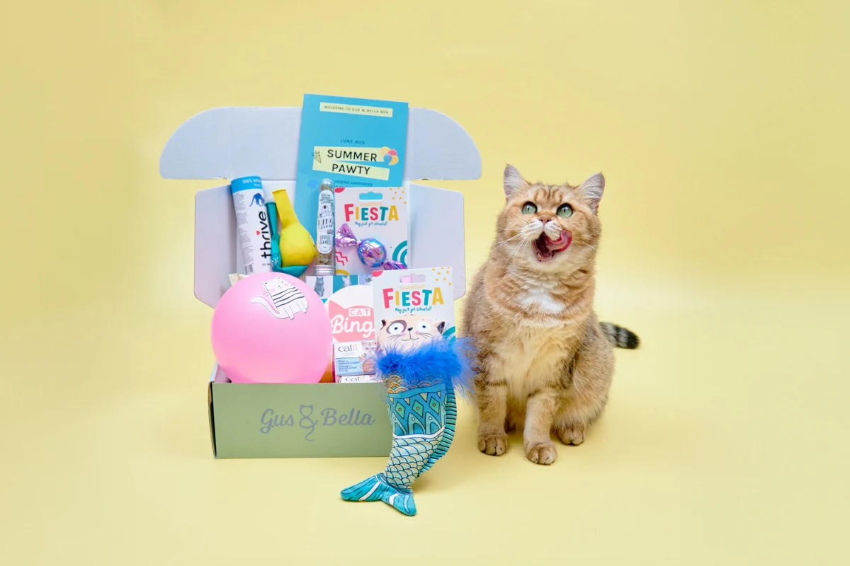 Monthly Gus & Bella Box