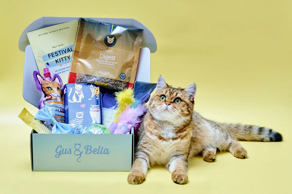 Monthly Gus & Bella Box - Image 10