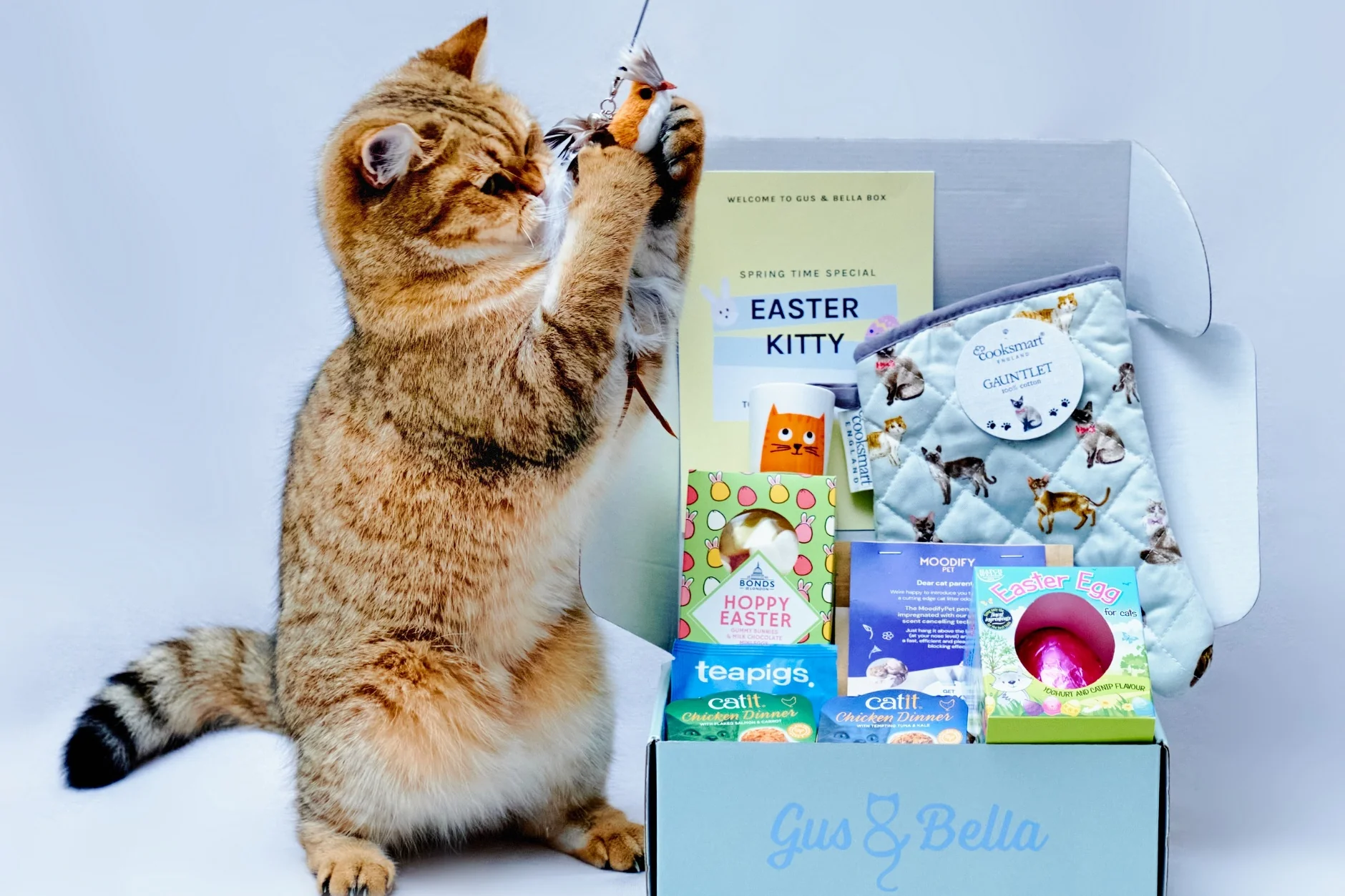 Monthly Gus & Bella Box - Image 11