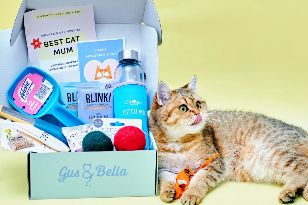 Monthly Gus & Bella Box - Image 12