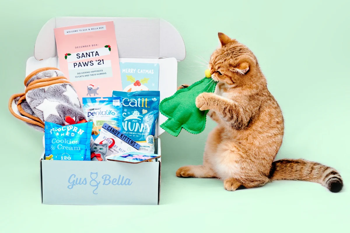 Monthly Gus & Bella Box - Image 13