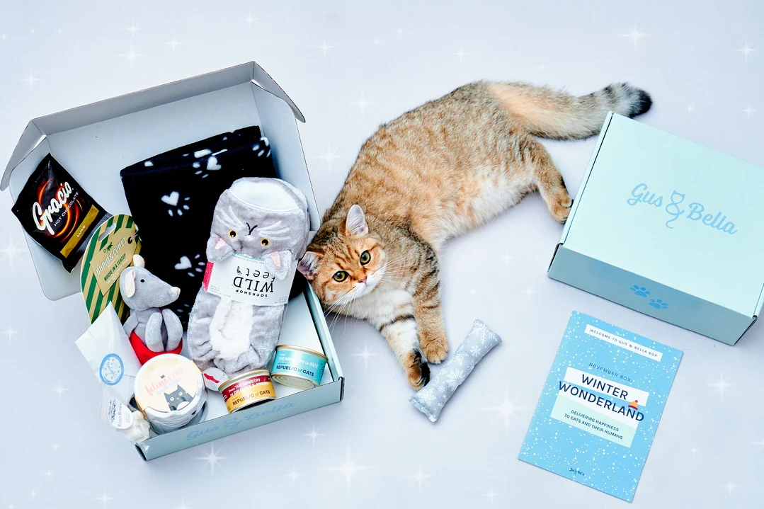 Monthly Gus & Bella Box - Image 14
