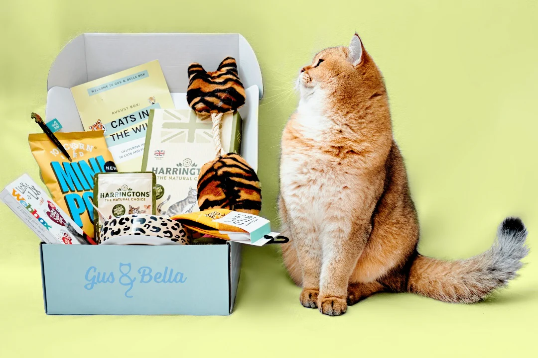 Monthly Gus & Bella Box - Image 16