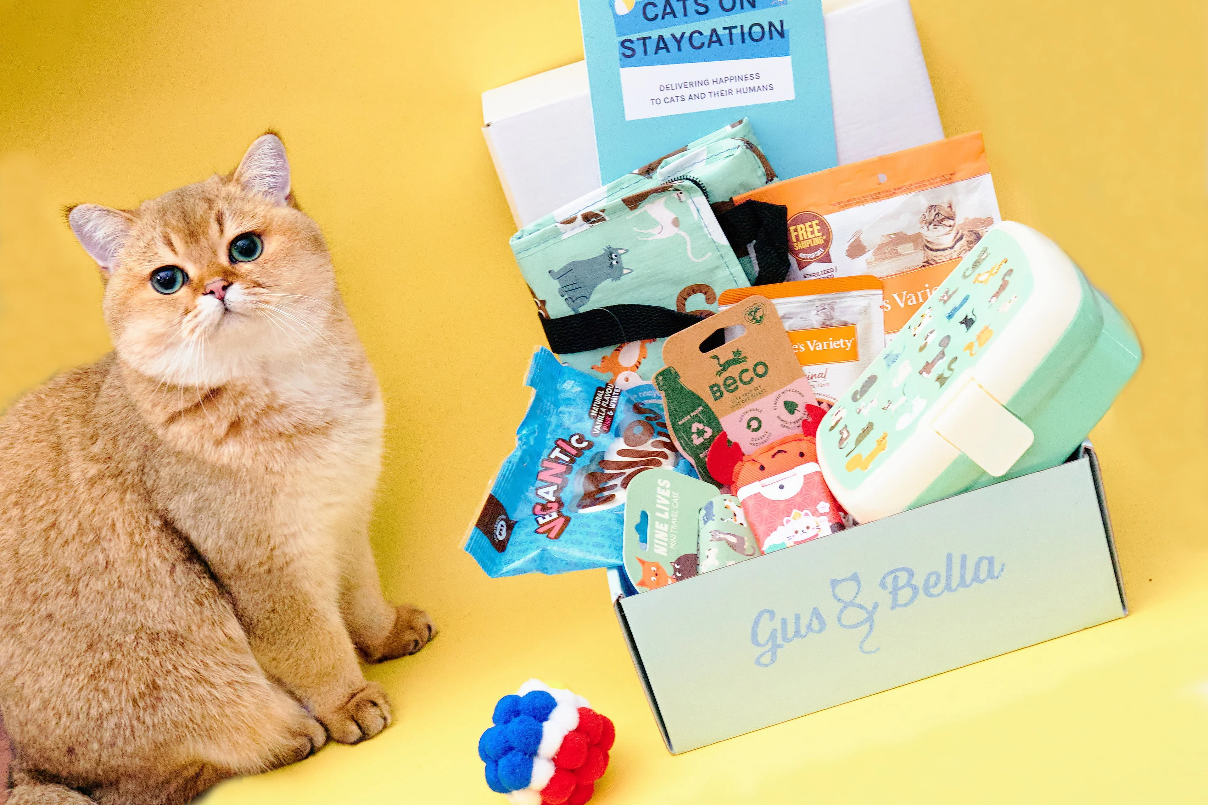 Monthly Gus & Bella Box - Image 17
