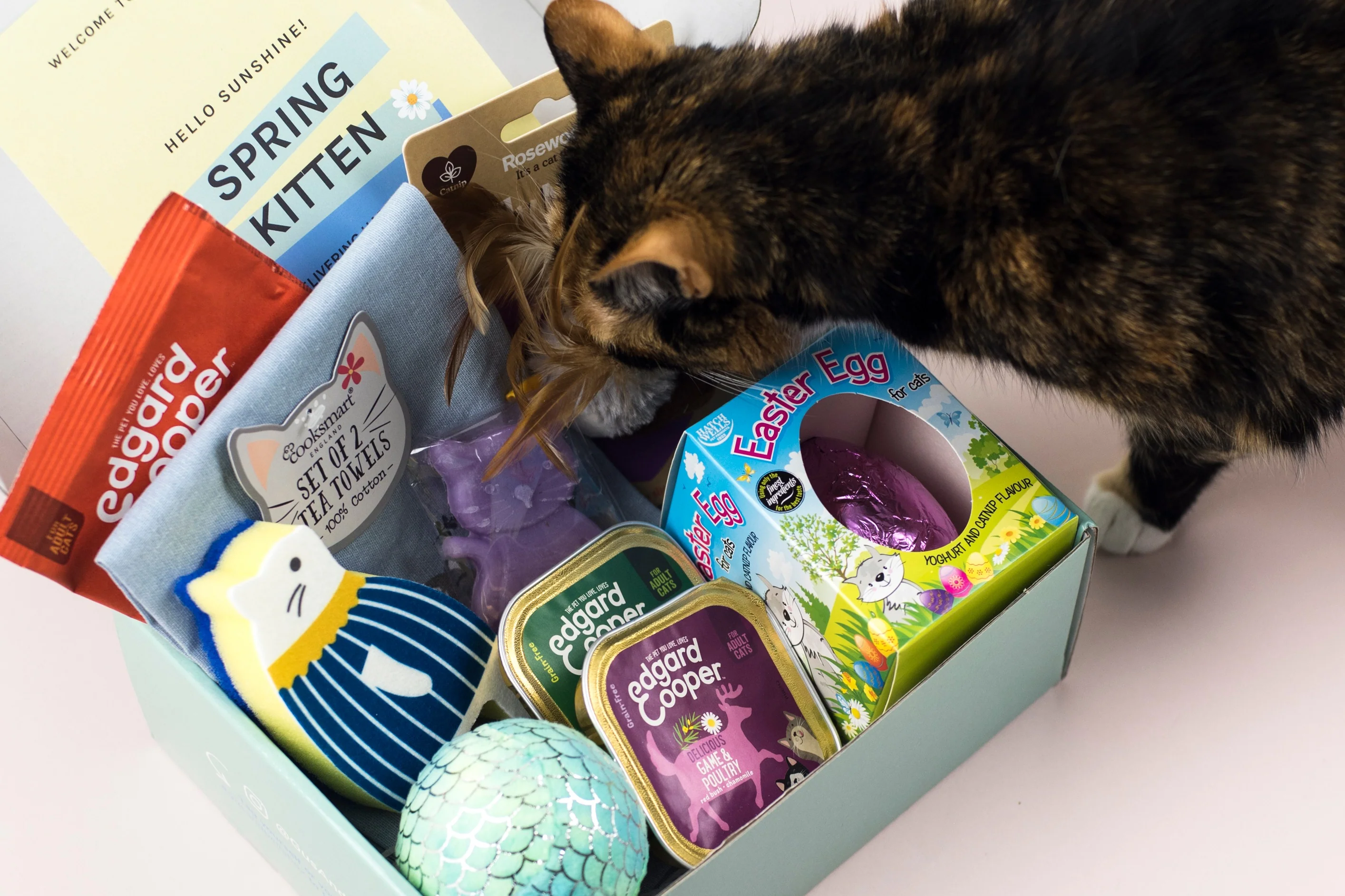 Monthly Gus & Bella Box - Image 22