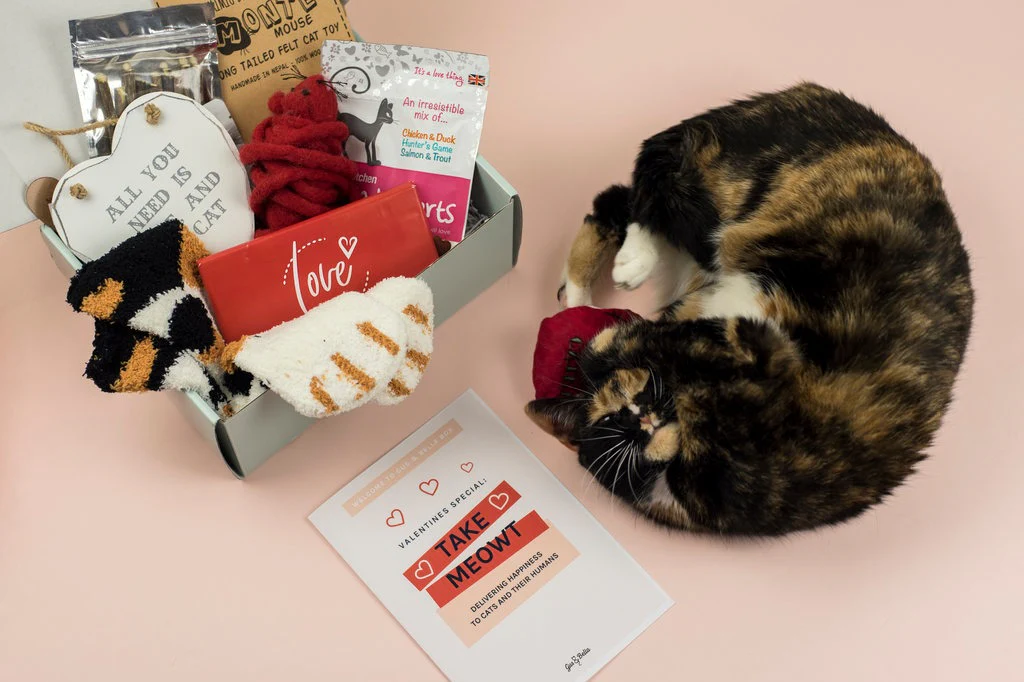 Monthly Gus & Bella Box - Image 23
