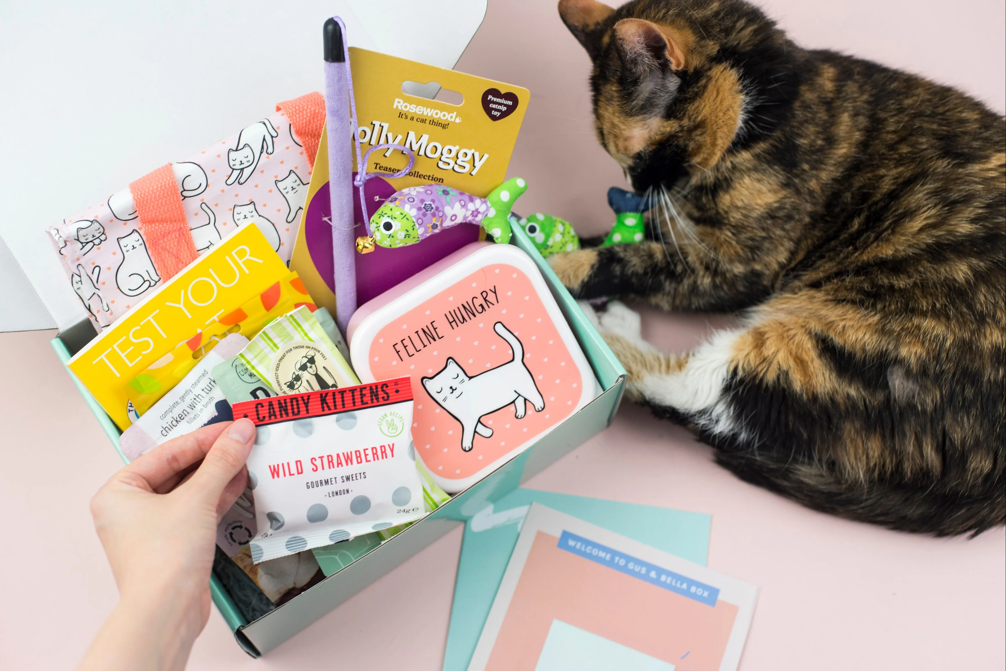 Monthly Gus & Bella Box - Image 25