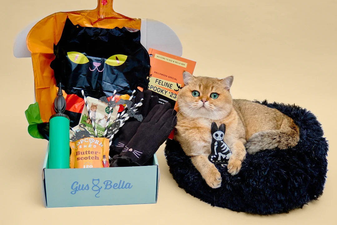 Monthly Gus & Bella Box - Image 4