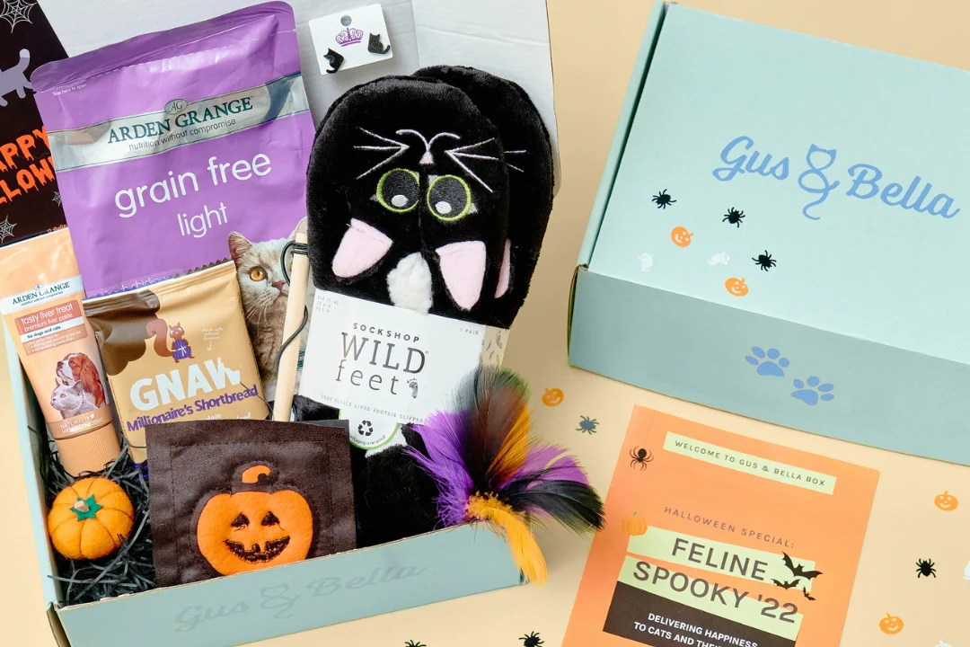 Monthly Gus & Bella Box - Image 8