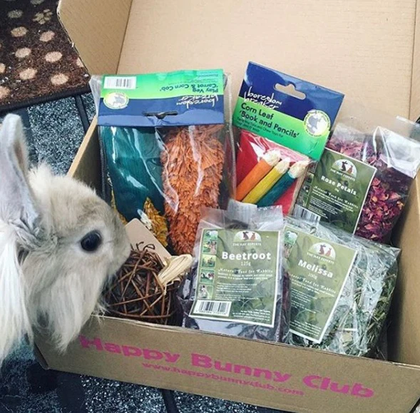 Happy Bunny Club Box - Image 5