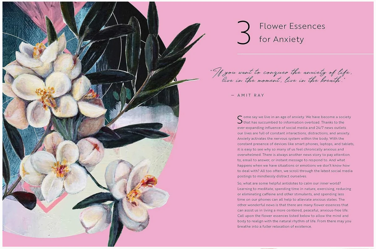 Healing Guide To Flower Essences by Alena Hennessey - Image 3