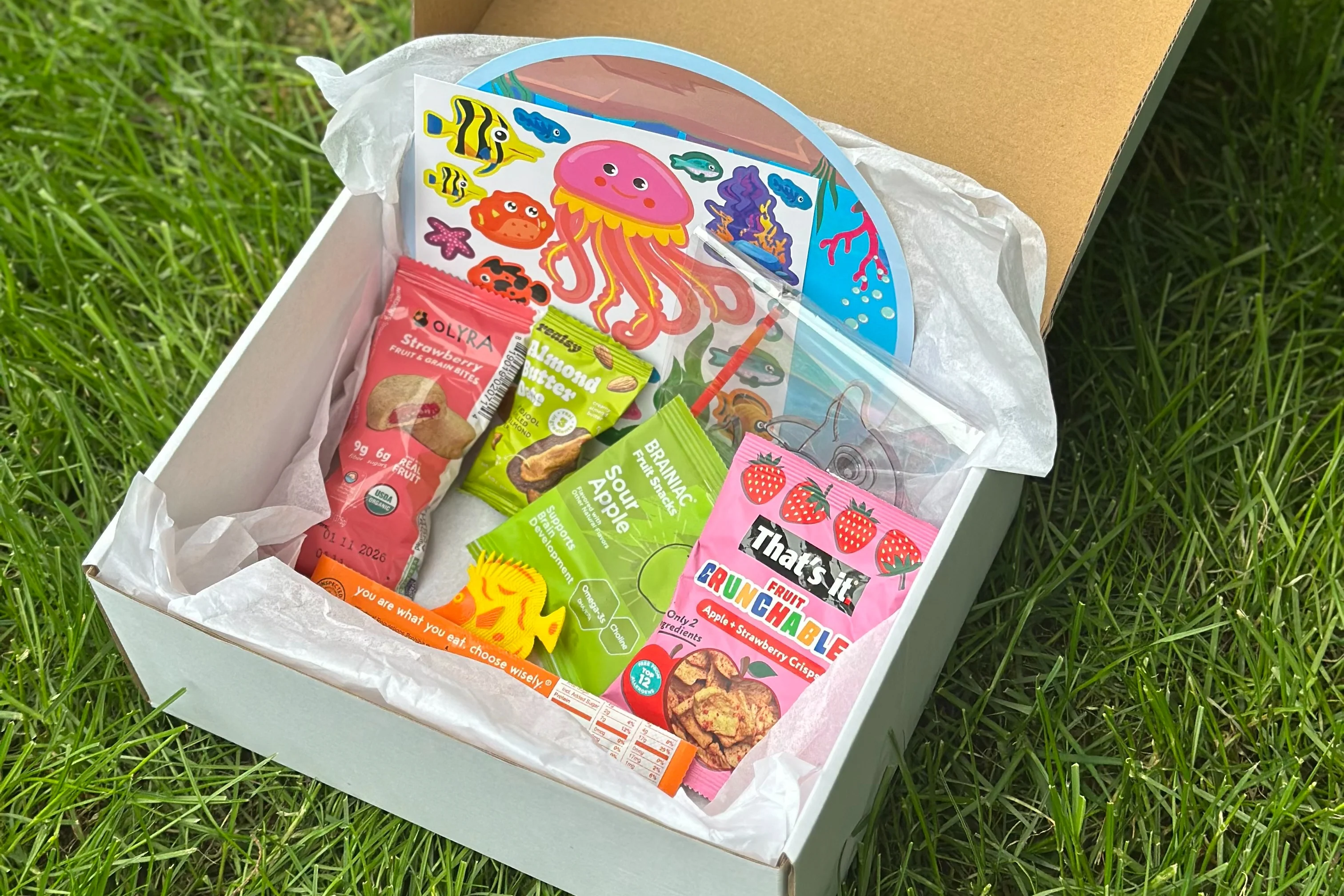 Healthy Snacks for Kids – Monthly Box with Bonus Craft - Image 8