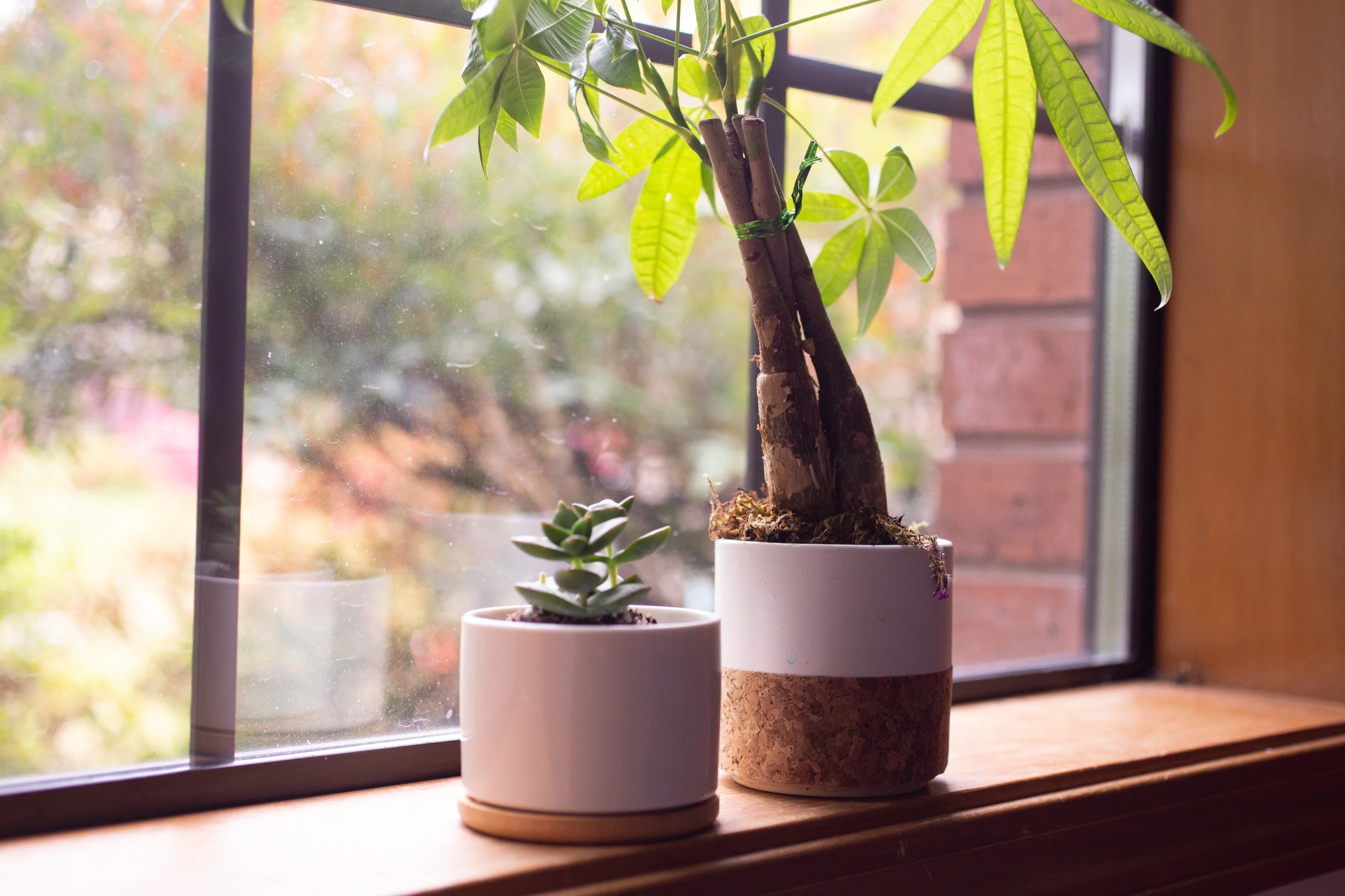 Home Decor & Goods Box - Image 4