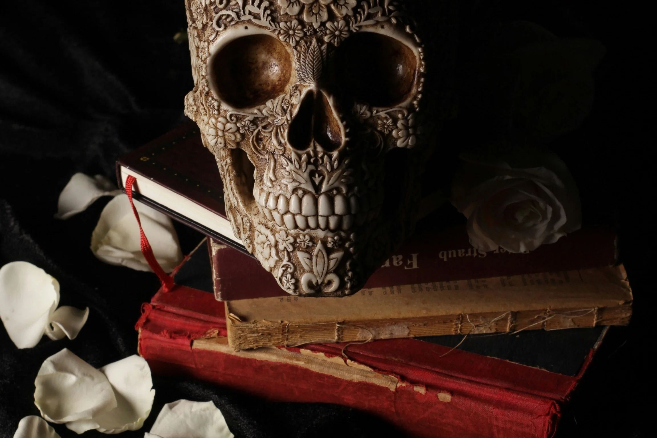Horror Books Club - Image 3