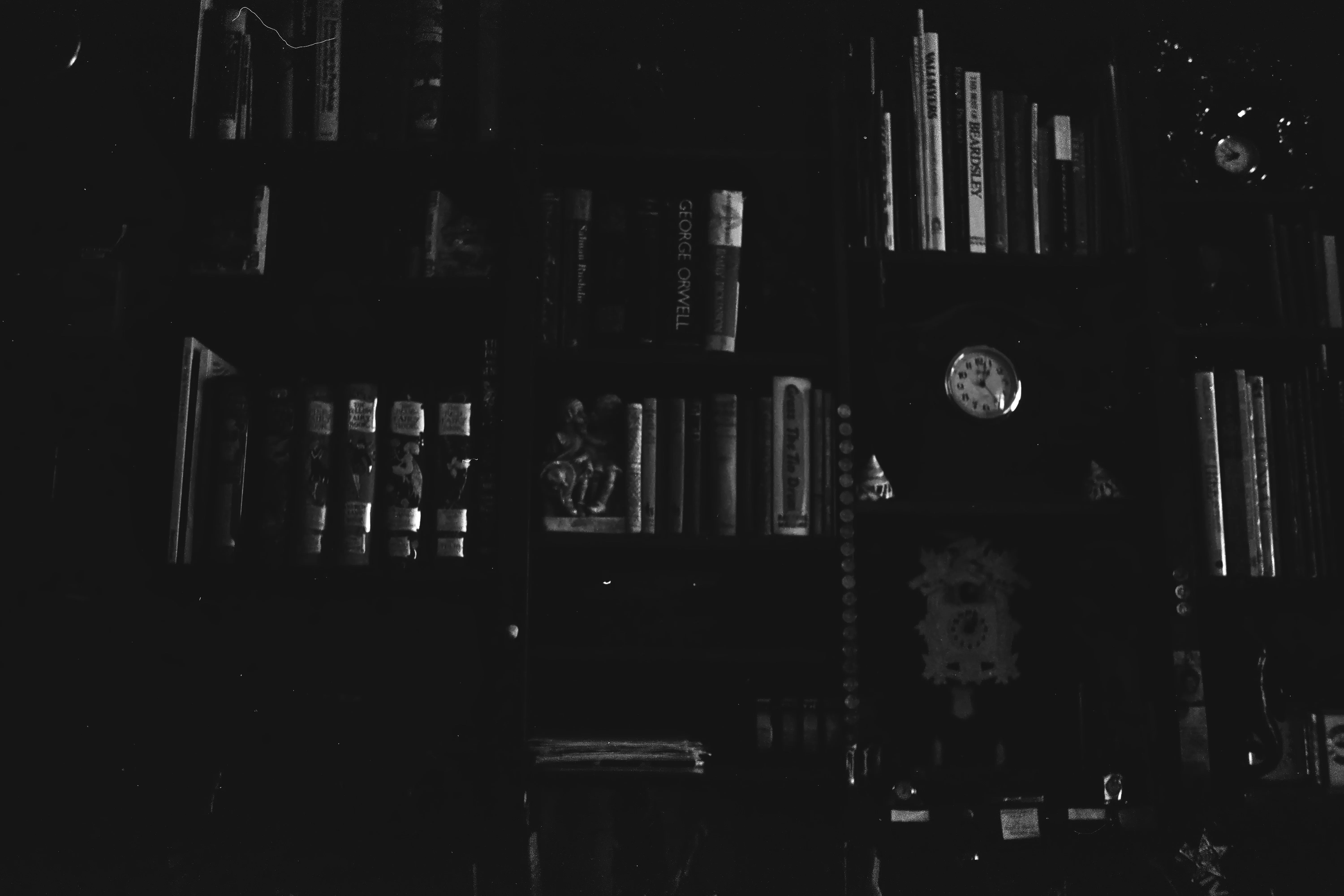 Horror Books Club - Image 9