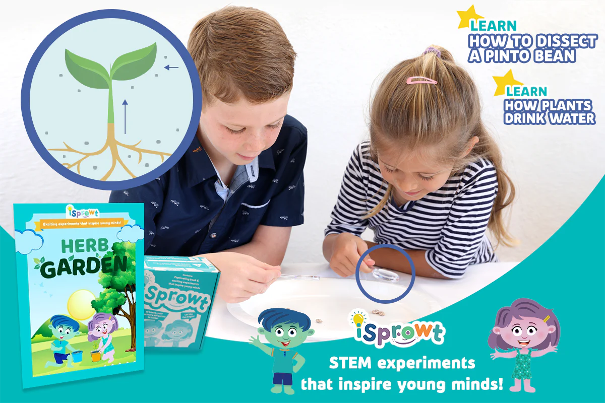 iSprowt - Hands-On, Fun, Engaging STEM Kits - Image 12