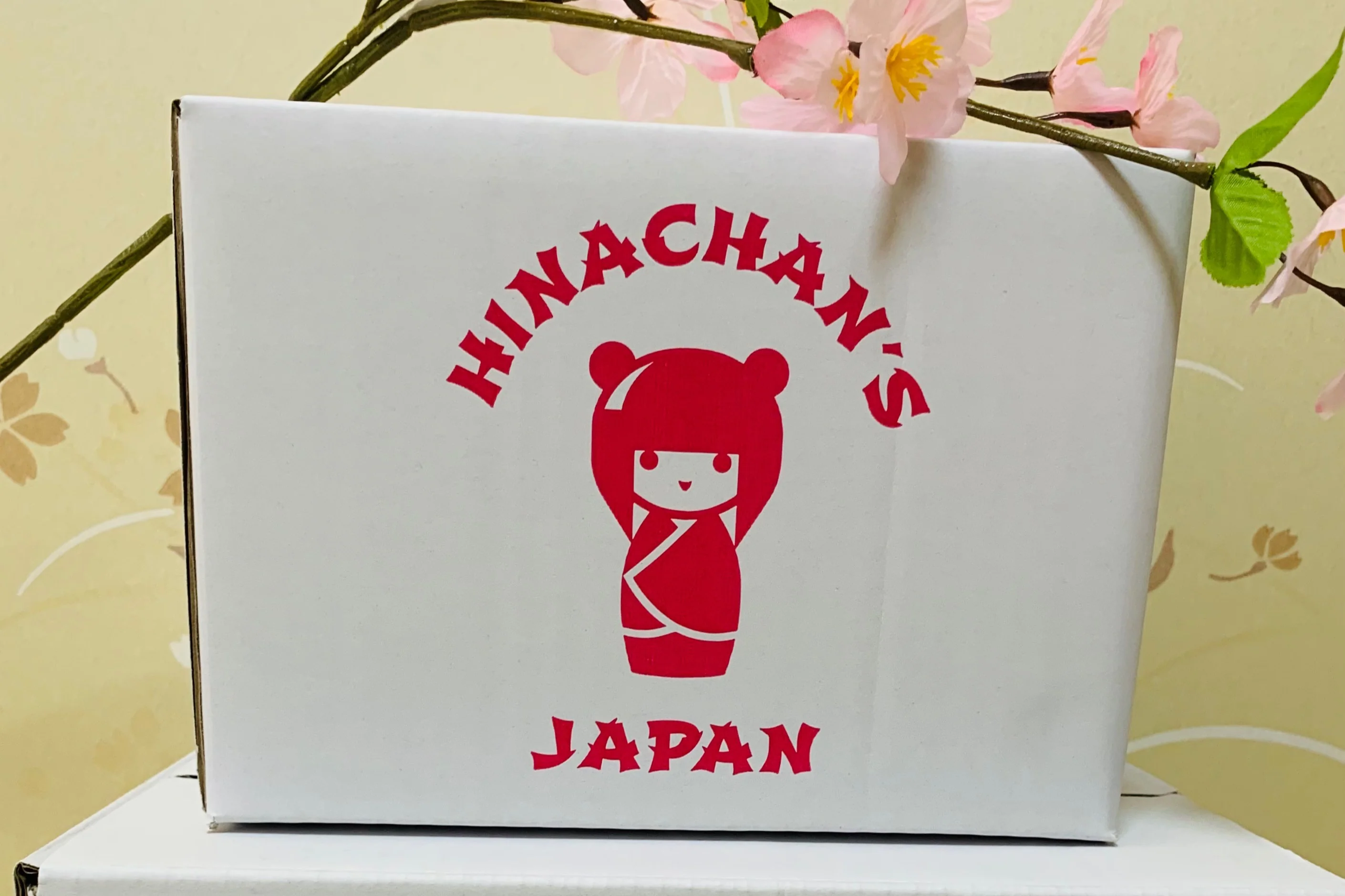 Kawaii Mystery Box From Japan! - Image 9