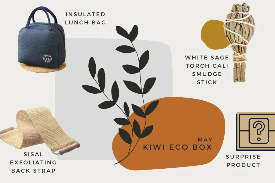 KIWI Eco Box - Image 8