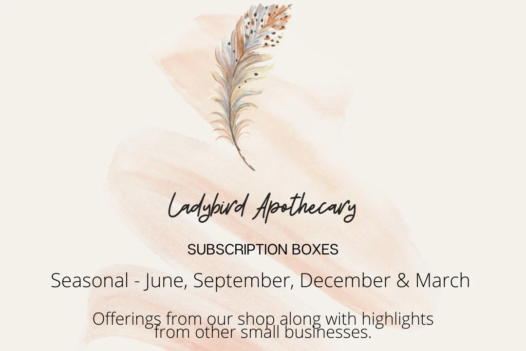 Solstice/Equinox Seasonal Box by Ladybird Apothecary - Image 6